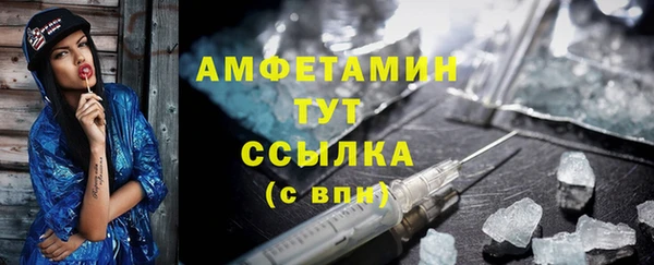 трава Киселёвск