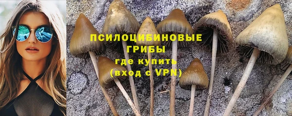гашик Абаза